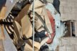 HGT Abbruch und Sortiergreifer DG2-PL
