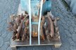 Rockwheel Anbaufräse D10