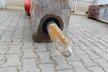 Rammer Hydraulikhammer 3288E