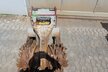 Rockwheel Anbaufräse D15